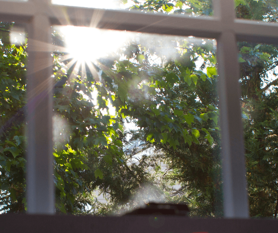 tree blocking the sun from heating up home