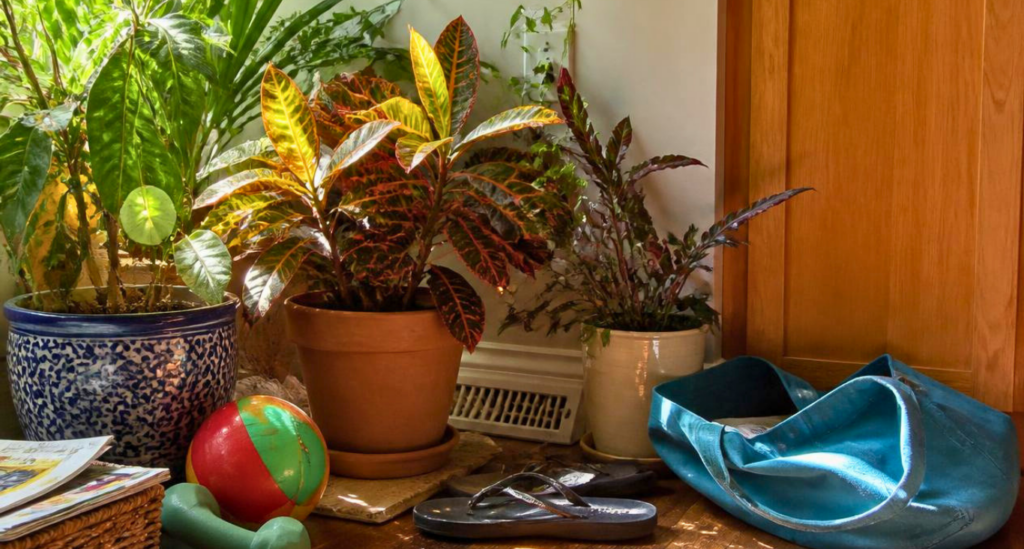 Air Vent in a Home Being Blocked by Flowerpots and Bags.