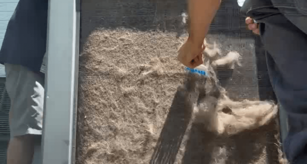Dog Hair Being Removed from a Heat Pump by ECSi in Wilmington, NC.